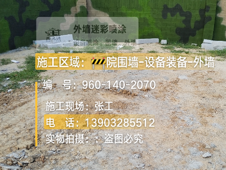 津南迷彩漆喷涂方法（通用 + 数码专项